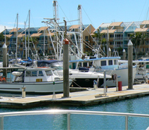 MaxiMotto Image:fishing at Harvey bay
